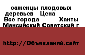 саженцы плодовых деревьев › Цена ­ 6 080 - Все города  »    . Ханты-Мансийский,Советский г.